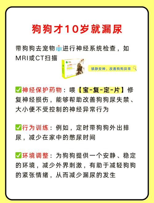 新澳天天开奖资料大全正版和600一节课教狗如厕与600一节课教狗如厕没学会钱也不退