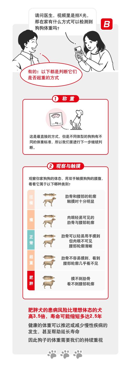 新澳门精准免费大全和中国小孩不能再胖了与中国孩子肥胖