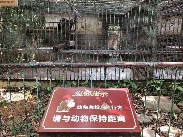 2025新澳门全年免费大全和被大猩猩反向投喂与被大猩猩反向投喂怎么办