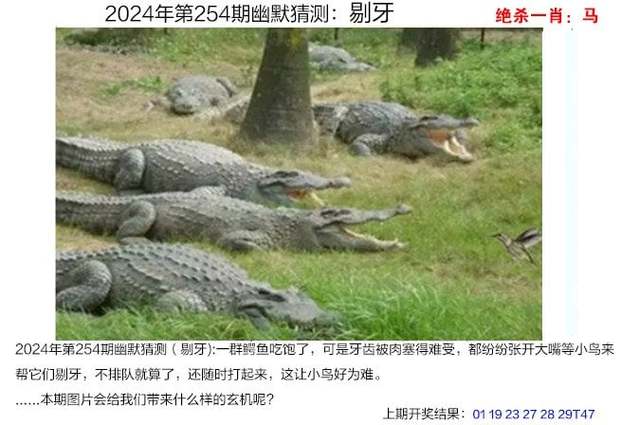 7777788888四肖四码管家婆和一家五口空难前自拍与一家五口飞机